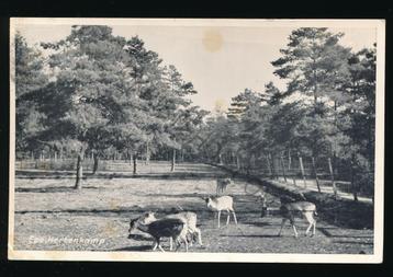 Epe - Hertenkamp [KRST005-5364 beschikbaar voor biedingen