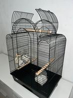 Vogelkooi / kleine papegaaien kooi, Ophalen, Gebruikt, Metaal, Vogelkooi