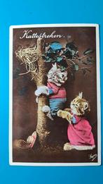 Kat poes kitten Kattestreken 1932, Verzamelen, Ansichtkaarten | Dieren, Ophalen of Verzenden, 1920 tot 1940, Gelopen, Hond of Kat