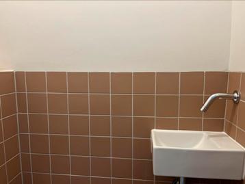 Winckelmans NIEUW 10x10 vieux rose RSV tegels 2,5 doosjes beschikbaar voor biedingen