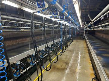 Dairymaster 22 stands swingover melkstal te koop beschikbaar voor biedingen