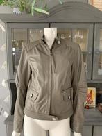 Leren jas van Esprit maat S 36 - lamsleer, Kleding | Dames, Jassen | Zomer, Douwenmaat 8-3 Meppel, Beige, Ophalen of Verzenden