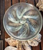 Arcoroc France 5 oesterborden,mosselborden,zeebanketborden., Ophalen of Verzenden