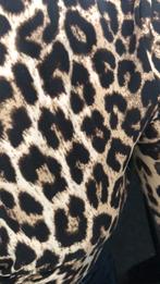 Setje leopard top en broek mooi sexy zgan maat M, Maat 38/40 (M), Bruin, Ophalen of Verzenden, Zo goed als nieuw