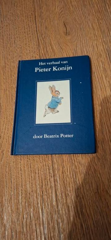 Pieter konijn beschikbaar voor biedingen