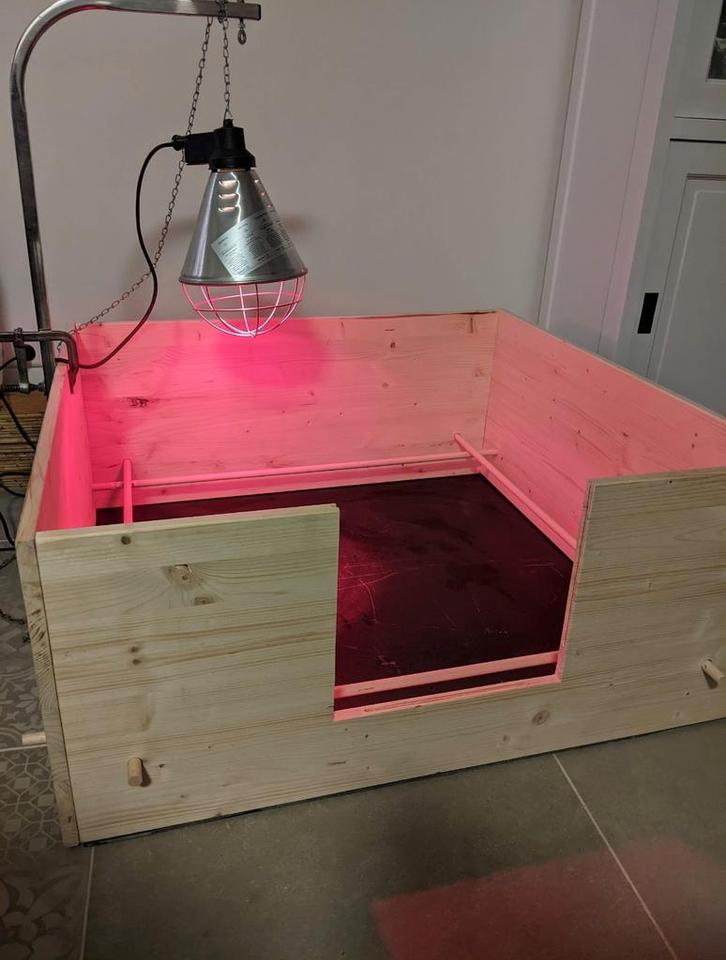 Werpkist te huur, Dieren en Toebehoren, Hondenhokken, Minder dan 65 cm, 110 cm of meer, Ophalen of Verzenden