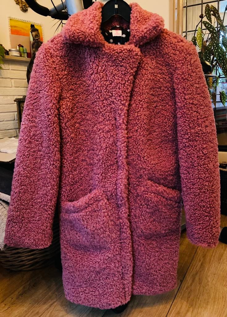 Nieuwe hippe teddy jas met kaartje, maat 158-164, Kleding | Dames, Jassen | Winter, Ophalen of Verzenden, Nieuw, Maat 34 (XS) of kleiner