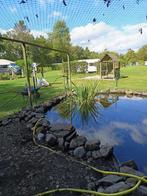 ** Goudvissen 25 **, Dieren en Toebehoren, Vissen | Vijvervissen, Goudvis(sen)