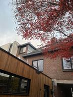 ALLROUND AANNEMER/KLUSBEDRIJF, Diensten en Vakmensen, Aannemers, Verbouw of Aanbouw