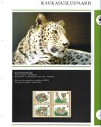 wwf wnf Tekst+postfris+4fdc Aserbijdjan Luipaard 2005 bedrei, Ophalen of Verzenden, Postfris, Dier of Natuur