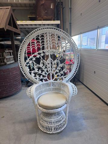 Pauwentroon wit  beschikbaar voor biedingen