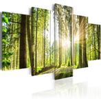 657 Bomen Bos Zonlicht 5 Luik Canvas Schilderij 200x100cm, Nieuw, 125 cm of meer, Ophalen of Verzenden, Schilderij