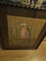 Pastel Schilderij Rose Kaketoe, Ophalen of Verzenden