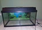 Aquarium juwel 60L, Ophalen, Gebruikt, Leeg aquarium