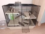 Hamsterkooi met accessoires, Dieren en Toebehoren, Kooi, Minder dan 75 cm, Hamster, Ophalen