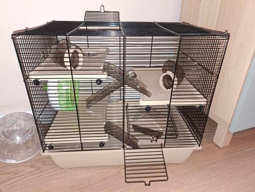 Hamsterkooi met accessoires, Dieren en Toebehoren, Knaagdieren en Konijnen | Hokken en Kooien, Kooi, Minder dan 60 cm, Minder dan 75 cm