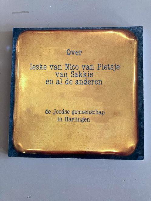 Over Ieske van Nico van Pietsje van Sakke, Boeken, Geschiedenis | Stad en Regio, Zo goed als nieuw, 19e eeuw, Ophalen of Verzenden