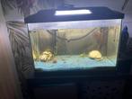 Aquarium met binnen pomp, Dieren en Toebehoren, Ophalen of Verzenden, Zo goed als nieuw, Leeg aquarium