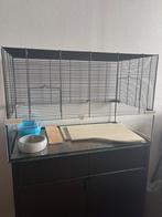 Ferplast Hamsterkooi, Dieren en Toebehoren, Knaagdieren en Konijnen | Hokken en Kooien, Kooi, Gebruikt, Hamster, 75 tot 110 cm