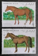 WESTELIJKE SAHARA - paarden 1995, Verzenden, Gestempeld, Midden-Oosten