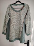 Leuke herfst winter sweater mt 48 zgan, Ophalen of Verzenden, Zo goed als nieuw, Trui of Vest
