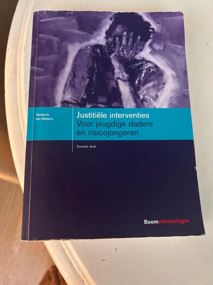 Justitiële Interventies - Jeugdcriminaliteit, Boeken, Studieboeken en Cursussen, Zo goed als nieuw, HBO, Gamma, Ophalen of Verzenden