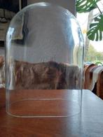 Grote, Glazen Stolp van Tante Brocante, Ophalen