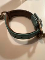 Halsband dogs / honden /pups, Ophalen of Verzenden, Zo goed als nieuw