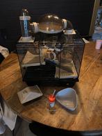 Hamster hok, Dieren en Toebehoren, Knaagdieren en Konijnen | Hokken en Kooien, Minder dan 75 cm, Ophalen, Minder dan 60 cm, Hok