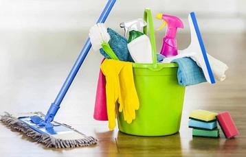 Gezocht: huishoudelijke hulp (Hendrik-Ido-Ambacht) beschikbaar voor biedingen