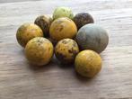9 brocante ballen voor kloot schieten, Ophalen of Verzenden