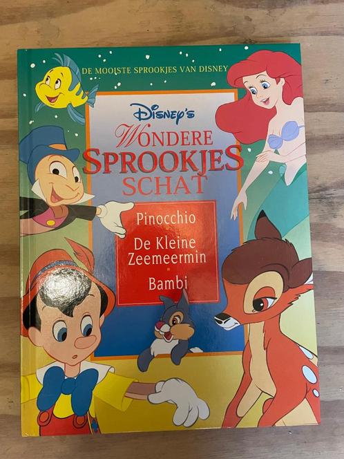 kleine zeemeermin, Boeken, Kinderboeken | Jeugd | onder 10 jaar, Nieuw, Sprookjes, Ophalen of Verzenden