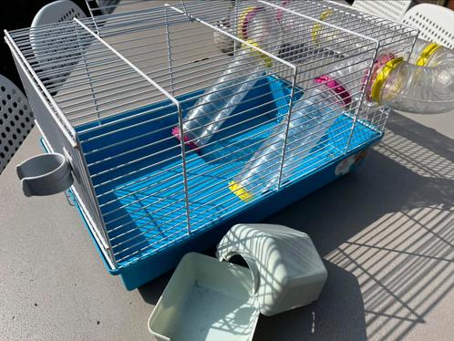 Kunststof hamsterkooi, Dieren en Toebehoren, Knaagdieren en Konijnen | Hokken en Kooien, Gebruikt, Kooi, Minder dan 60 cm, Minder dan 75 cm