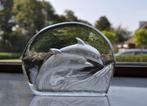 Presse Papier Dolfijnen Glas 11,5 cm, Ophalen of Verzenden