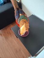 Opgezette Goudfazant fazant vogel taxidermie, Ophalen of Verzenden, Vogel, Opgezet dier