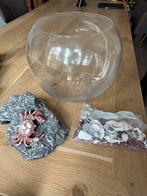 Mooie grote Viskom incl. decoratie, Dieren en Toebehoren, Vissen | Aquaria en Toebehoren, Ophalen of Verzenden, Zo goed als nieuw