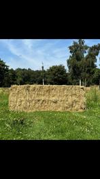 Frans weidehooi/paardenhooi laag in suikers, Ophalen of Verzenden