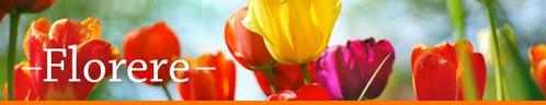 Projectbegeleider AERMEC voor Aerkoel( Blaricum), Vacatures, Vacatures | Techniek