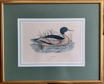 70's reproducties van originele chromolithografische prints  beschikbaar voor biedingen