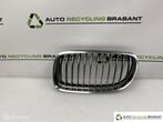 Grille Links Chrome BMW 3-serie F30 F31 LCI ('15->) 7201969, Gebruikt, Ophalen of Verzenden, BMW, BMW