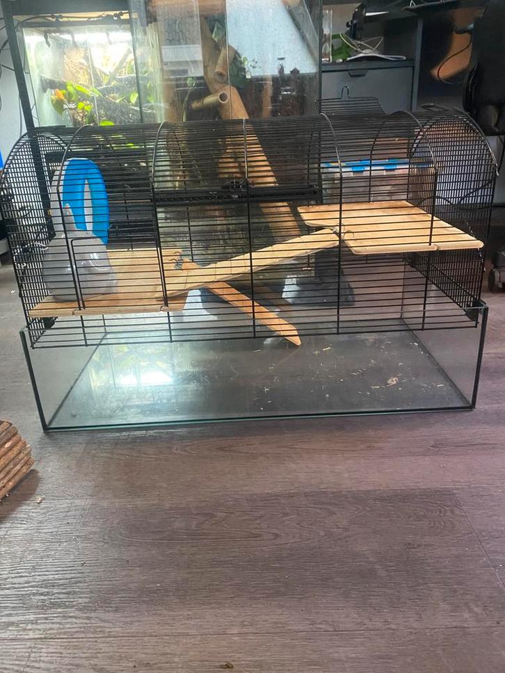 Hamster kooi met spullen, Dieren en Toebehoren, Knaagdieren en Konijnen | Hokken en Kooien, Zo goed als nieuw, Kooi, Minder dan 60 cm