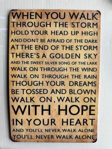 Tekstbord 'When You Walk Through The Storm' 30 bij 20 beschikbaar voor biedingen