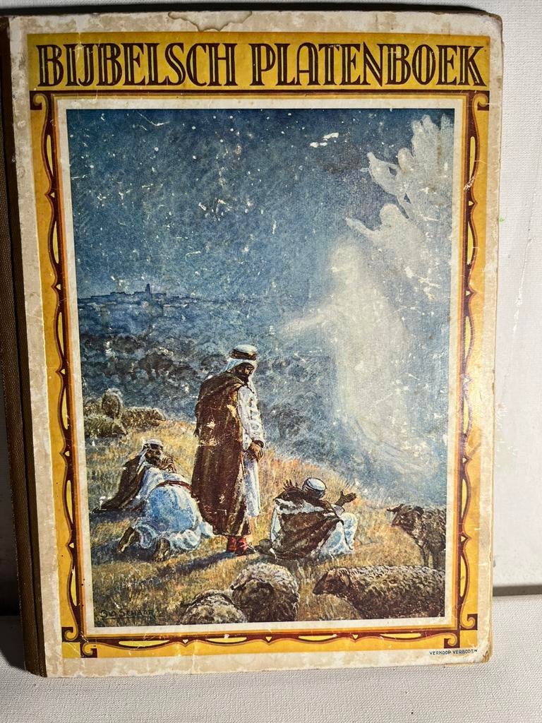 Bijbelsch Platenboek, 1934, Ophalen of Verzenden