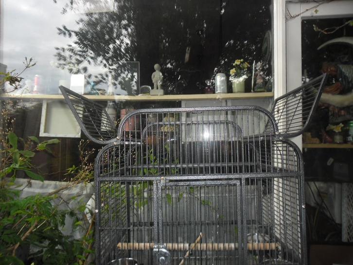 mooie vogelkooi voor grote parkiet , 50 euro, Dieren en Toebehoren, Overige Dieren-accessoires, Gebruikt, Ophalen