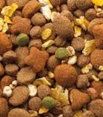 Hondenvoer, Dieren en Toebehoren, Dierenvoeding, Ophalen of Verzenden, Hond