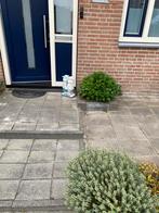 Gratis tegels ophalen, Tuin en Terras, Tegels en Klinkers, Ophalen, Zo goed als nieuw, 10 m² of meer, Beton