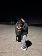 verzorger aangeboden / lease paard gezocht, Dieren en Toebehoren, Ophalen of Verzenden, Zo goed als nieuw