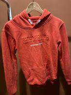 Hoodie Terschelling Maat 164, Kinderen en Baby's, Kinderkleding | Maat 158, Ophalen of Verzenden, Zo goed als nieuw, Jongen of Meisje