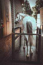 MK Trilplaat, vibratie plaat voor paarden €5750,- Excl.Btw!, Ophalen, Nieuw, Overige soorten