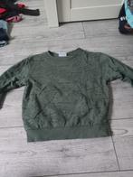 Groene jongens trui maat 116, Kinderen en Baby's, Kinderkleding | Overige, Ophalen of Verzenden